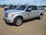 2011 Ford F-150 Platinum SuperCrew 5.5-ft. Bed 4WD